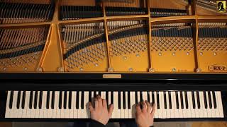 Walzer hmoll FChopin Op69 Nr2 [upl. by Dnomde693]