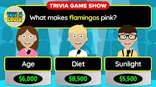 ✅ GENERAL KNOWLEDGE QUIZ  40 Trivia Questions in a Unique Game Show Format  24110 [upl. by Llemaj]