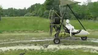 Whooping Crane Imprinting [upl. by Imelda]