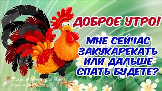 ☕️🍬 Бодренького утречка Лучшие пожелания Доброго Утра и Чудесного Дня Утренний позитив для друзей [upl. by Staley]