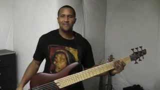 Rihanna  Diamonds Bass Cover by Darius Pope [upl. by Yankee]