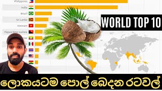 World top 10 Coconut 🥥 production countries  ලොව විශාලතම පොල් 🥥 නිෂ්පාදනයක් කරන රටවල් 10 [upl. by Zabrina]