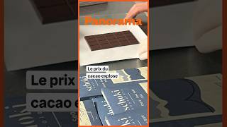 Le prix du cacao explose [upl. by Nannie317]