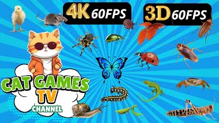 CAT GAMES TV  150 in 1 Ultimate Compilation 😻🪰😼 Game for cats 🕚 3 HOURS 4K [upl. by Dion]