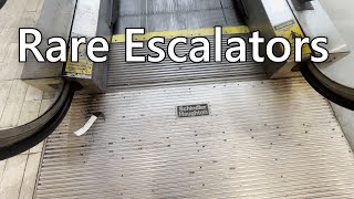 VERY RARE 1983 Schindler Haughton Escalators at Macys  Concord Mall  Wilmington DE [upl. by Onibag990]