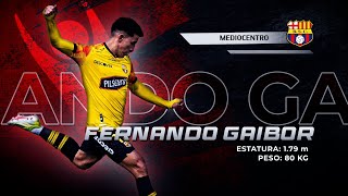 Fernando Gaibor 2024 [upl. by Gasper711]