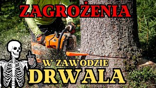 Zagrożenia w zawodzie DRWALA  Okiem ZULa [upl. by Baumbaugh174]