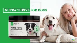 Nutra Thrive for Dogs Reviews  Ultimate Pet Nutrition [upl. by Netsuj]