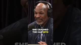 MIKE TYSON with JOE ROGAN Talks About Boxing And Fighting And Mindset miketyson mike jre podcast [upl. by Turpin680]