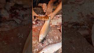 Anchovies Fish cutting into small Pieces  Fish Cutting Skills bakedfish fishpie fishcut [upl. by Adnilram]