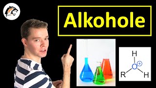 ALKOHOLE – Aufbau amp Eigenschaften  Chemie Tutorial [upl. by Nodnarb]