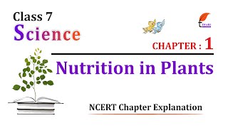 NCERT Solutions for Class 7 Science Chapter 1 [upl. by Onairda]