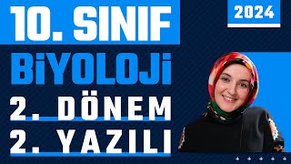 10Sınıf Biyoloji 2Dönem 2Yazılı  2024 yazılı biyoloji [upl. by Airom853]