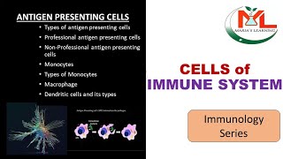 Antigen presenting cell  Cells of immune system  Monocytes  Macrophage  Dendritic cells [upl. by Finah950]