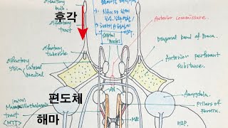 소통 우리의 후각에 대한 소통 건축과 후각 建筑与嗅觉 about Olfactory sence [upl. by Nylrad]