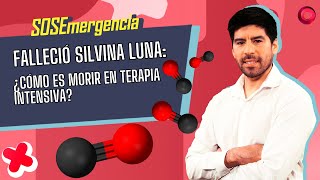 Falleció Silvina Luna ¿Cómo es morir en terapia intensiva I medicodefamilia [upl. by Eybba]