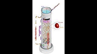 EVER CLEAR Ngyên lý hoạt động Fenton hóa lỏng FBR Fenton [upl. by Atsahc369]