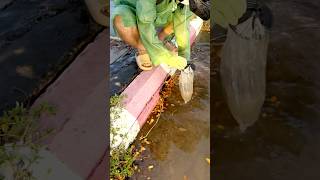 Rescuing Flooded Streets by Cleaning DebrisBlocked Drains [upl. by Hunt589]