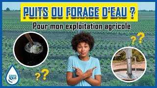 puits ou forage deau pour mon exploitation agricole [upl. by Nnyroc]