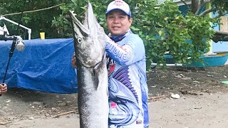 Biggest Great Barracuda I caught  Fishing in the Philippines  Iligan Anglers Club  Jigging [upl. by Yornoc]