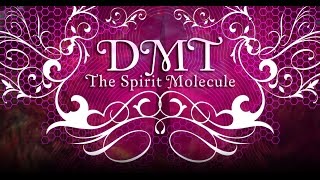 DMT The Spirit Molecule 2010 multi subs [upl. by Kehoe]