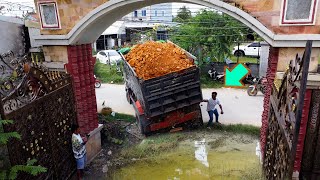 Start Project Dozer D31P amp Truck Good cooperation in filling the flooded area in the village [upl. by Steiner]