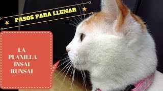 Como llenar la planilla de INSAI  RUNSAI para viajar con mascotas al extranjero  Tutorial [upl. by Ansell]