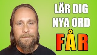 Lär dig ord  Ordet quotfårquot  Förklaringar exempel synonymer och uttryck [upl. by Taffy]