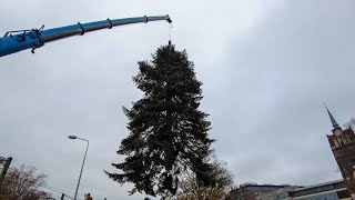 4K  Weihnachtsbaum Rostock 2020 [upl. by Gnal]