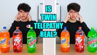 REAL TWIN TELEPATHY TEST [upl. by Pussej982]