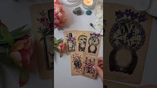 Poruka univerzuma za vas ✨🤍 tarotcitanje tarotandorcle 39tarot citanjetarota tarottumacenje [upl. by Yevreh]