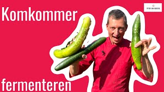 Komkommer fermenteren [upl. by Eicram]