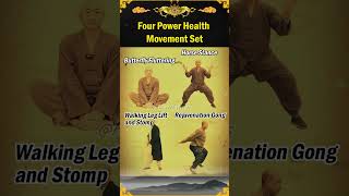 Four Power Health Movement Set [upl. by Lynnett]