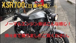 YAMAHA XSR700ABS 日本仕様 隅々撮り エンジン音 [upl. by Bernelle]