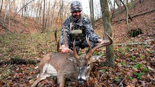 201quot Illinois Giant Biggest Frame Deer Ive Ever Seen [upl. by Culosio576]