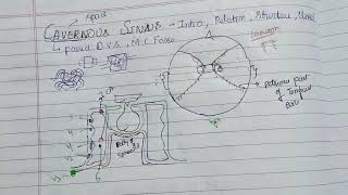 Cavernous sinus2 simplest explaination in one page ✌️✌️ BDCSIMPLIFIED [upl. by Ola]