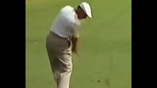 Hogan Swinging Left Drill [upl. by Sgninnej]