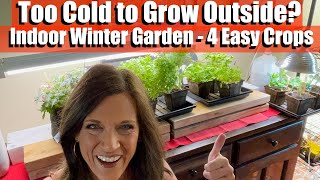 Top 5 Herbs To Grow Indoors [upl. by Thoma471]