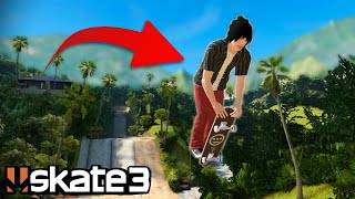 The HAWAII Double Gap in Skate 3 [upl. by Atikan]