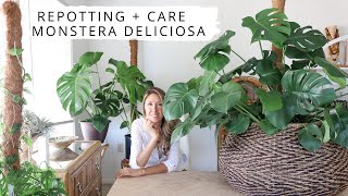 Monstera Deliciosa  Repotting  Care  Plant Therapy Thursday Vlog [upl. by Soutor]