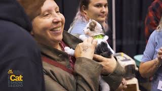 Sponsor Spotlight Cat Fanciers Association International Cat Show amp Expo Overview [upl. by Sokin]