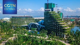 Ciudades inteligentes y ecológicas del futuro en China [upl. by Attalanta]