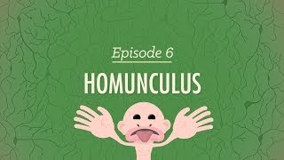 Homunculus Crash Course Psychology 6 [upl. by Dray905]