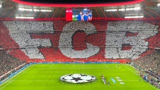 BEST OF  Bayern Fans Südkurve München Songs amp Choreo I Champions League PSG März 23 [upl. by Yekcir]