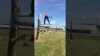 The East Coast Lumberjack Tree Surfing in Saint John NB [upl. by Elwood337]