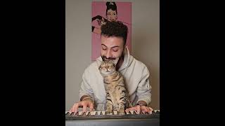 Pianist Cat 🐈🎹😊❤️ [upl. by Hsirrehc]