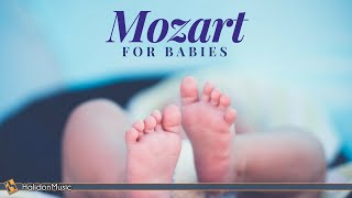 Mozart for Babies  Brain Development amp Pregnancy Music [upl. by Clorinde]