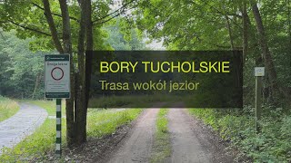 Bory Tucholskie  trasa rowerowa wokół jezior 45km [upl. by Lilahk169]