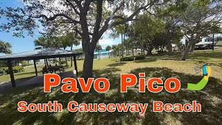 Flying the Pavo Pico at South Causeway Beach in Fort Pierce [upl. by Anahc]