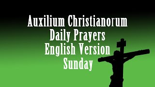 Auxilium ChristianorumSundayFather Ripperger Recommended Prayers English Prayers [upl. by Zelazny349]